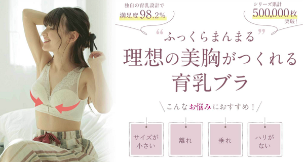 くつろぎ育乳ブラ 店舗